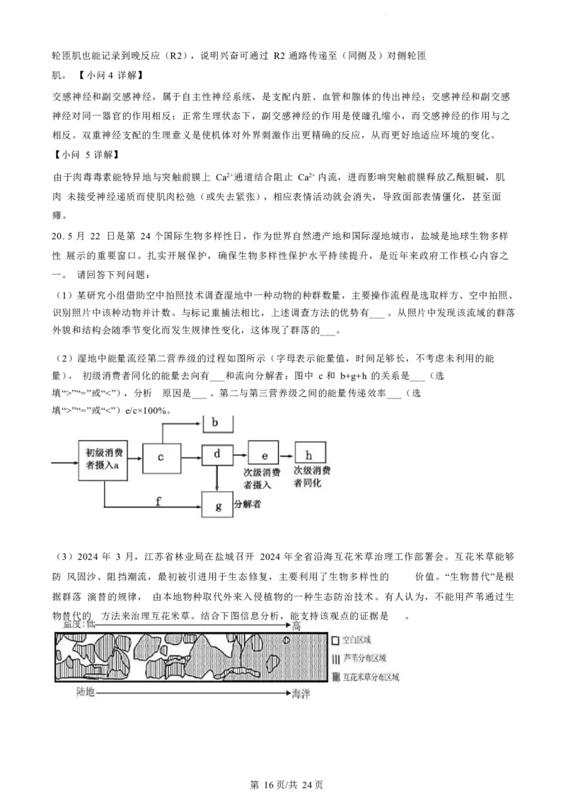 江苏省盐城市2023-2024学年第二学期高二年级6月月末期终联考考试生物试题（解析版）_2024-2025高二（7-7月题库）_2024年07月试卷_0701江苏省盐城市2023-2024学年高二下学期6月期末