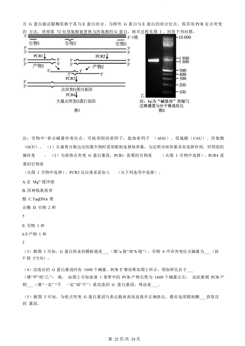 江苏省盐城市2023-2024学年第二学期高二年级6月月末期终联考考试生物试题（解析版）_2024-2025高二（7-7月题库）_2024年07月试卷_0701江苏省盐城市2023-2024学年高二下学期6月期末