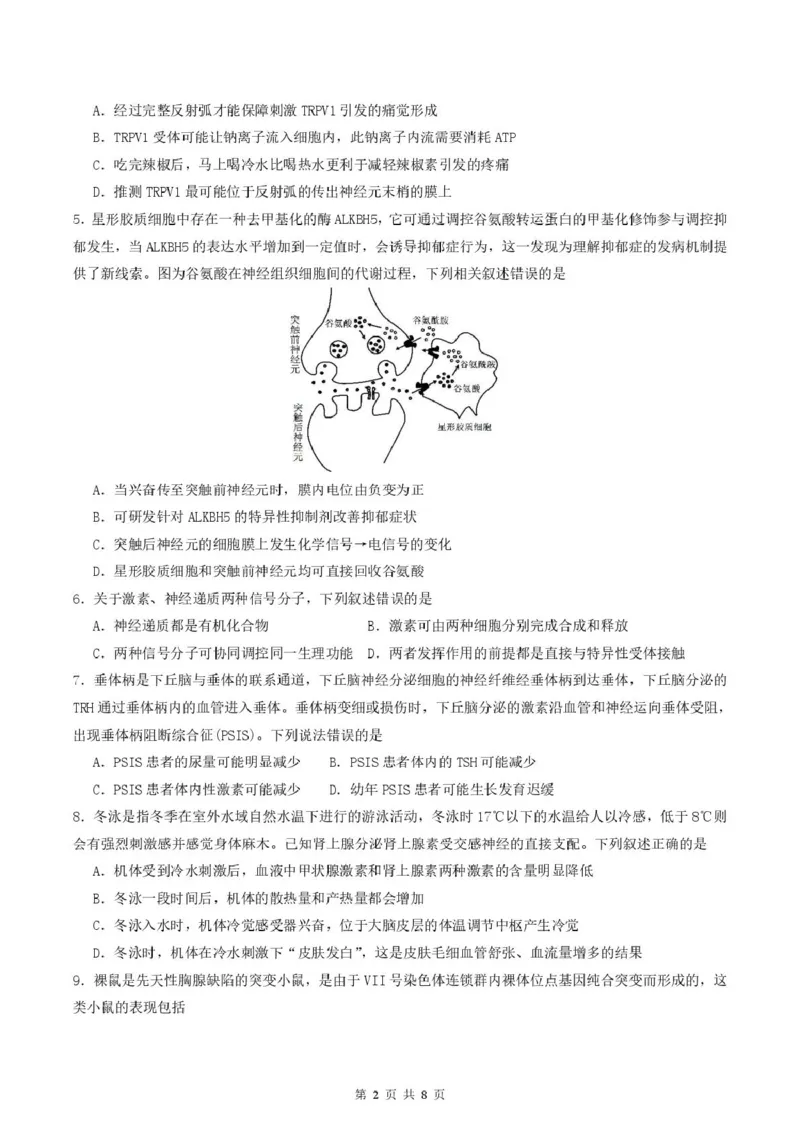四川省内江市第六中学2025学年下期高二入学考试生物试题（含答案）四川省内江市第六中学2025学年下期高二入学考试生物试题（含答案）_2024-2025高二（7-7月题库）_2025年03月试卷