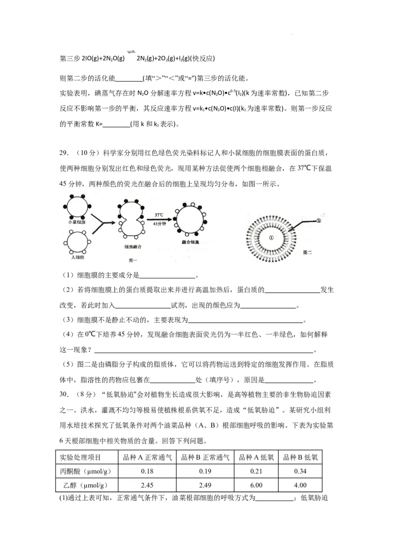 四川省绵阳市南山中学实验学校2024届高三上学期10月月考理综(1)_2023年11月_01每日更新_08号_2024届四川省绵阳市南山中学实验学校高三上学期10月月考