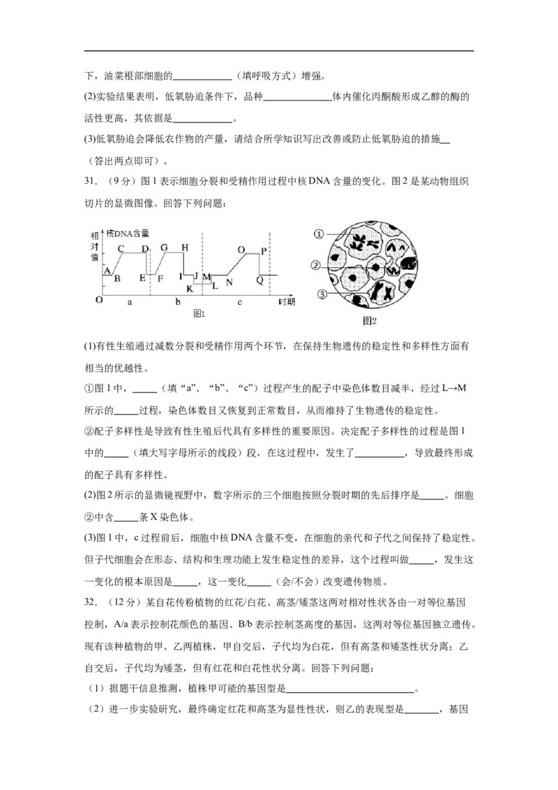 四川省绵阳市南山中学实验学校2024届高三上学期10月月考理综(1)_2023年11月_01每日更新_08号_2024届四川省绵阳市南山中学实验学校高三上学期10月月考
