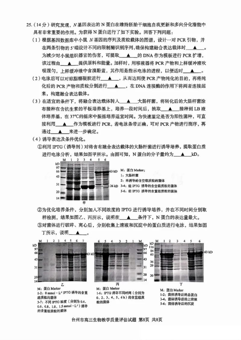 台州一模生物试卷及答案_2024-2025高三（6-6月题库）_2024年11月试卷_1117浙江省台州市2025届高三第一次教学质量评估（全科）