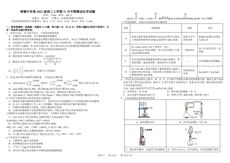 四川省成都市树德中学2024-2025学年高三上学期期中考试化学试题扫描版含答案_2024-2025高三（6-6月题库）_2024年11月试卷