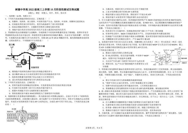 四川省成都市树德中学2025届高三上学期10月月考生物试题扫描版含答案_2024-2025高三（6-6月题库）_2024年10月试卷_1013四川省成都市树德中学2025届高三上学期10月月考