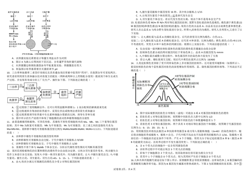 四川省成都市树德中学2025届高三上学期10月月考生物试题扫描版含答案_2024-2025高三（6-6月题库）_2024年10月试卷_1013四川省成都市树德中学2025届高三上学期10月月考