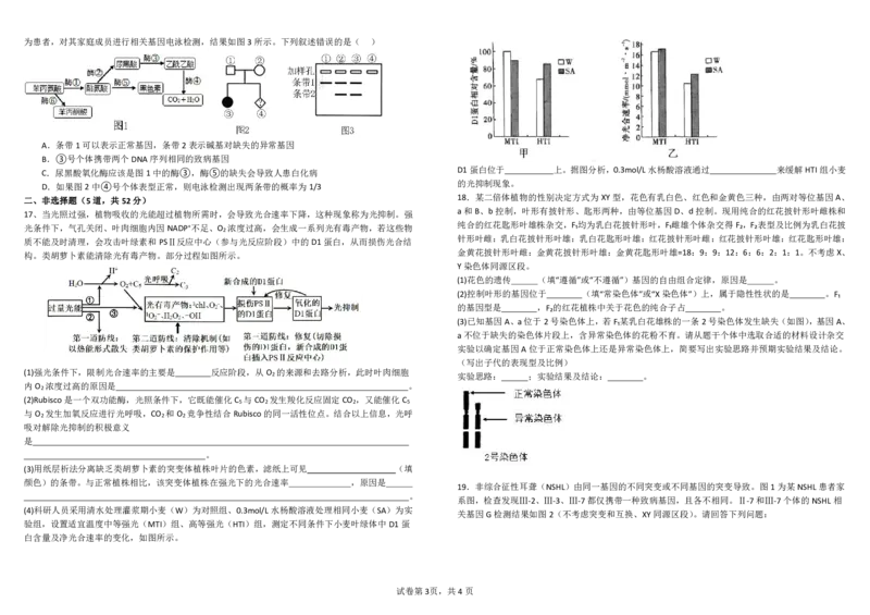 四川省成都市树德中学2025届高三上学期10月月考生物试题扫描版含答案_2024-2025高三（6-6月题库）_2024年10月试卷_1013四川省成都市树德中学2025届高三上学期10月月考