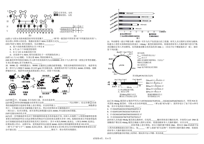 四川省成都市树德中学2025届高三上学期10月月考生物试题扫描版含答案_2024-2025高三（6-6月题库）_2024年10月试卷_1013四川省成都市树德中学2025届高三上学期10月月考