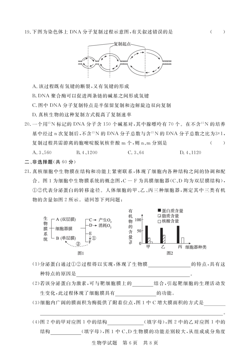 湖北省宜城市第一中学等六校2023-2024学年高三上学期期中考试生物试题(1)_2023年11月_0211月合集_2024届湖北省鄂东南六校高三上学期期中考试