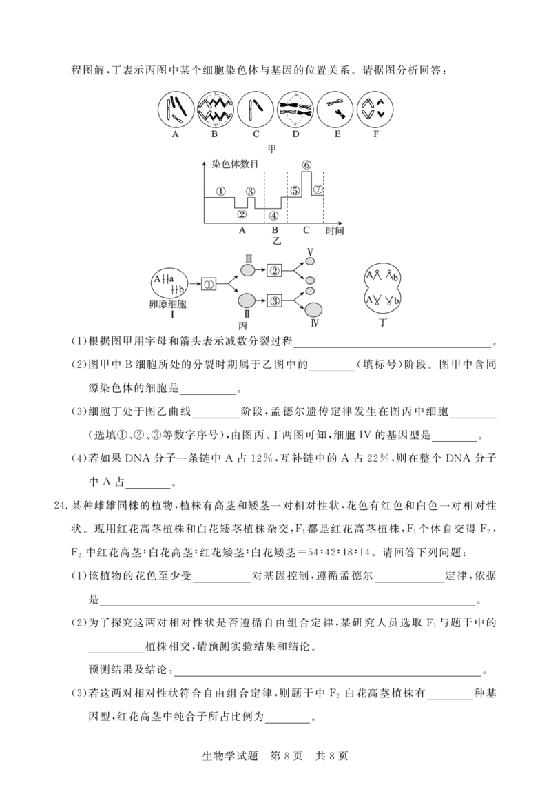 湖北省宜城市第一中学等六校2023-2024学年高三上学期期中考试生物试题(1)_2023年11月_0211月合集_2024届湖北省鄂东南六校高三上学期期中考试
