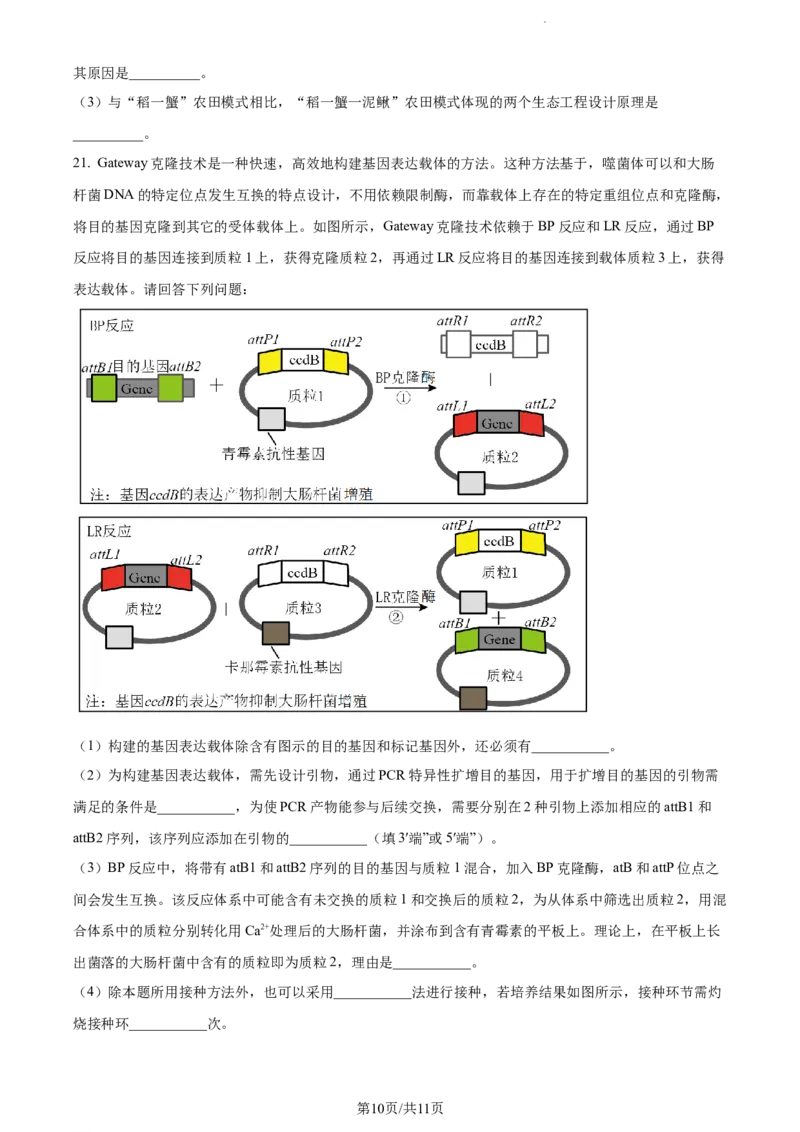 精品解析：湖南省邵阳市武冈市2023-2024学年高三上学期期中生物试题（原卷版）(1)_2023年11月_0211月合集_2024届湖南省邵阳市武冈市高三上学期期中考试