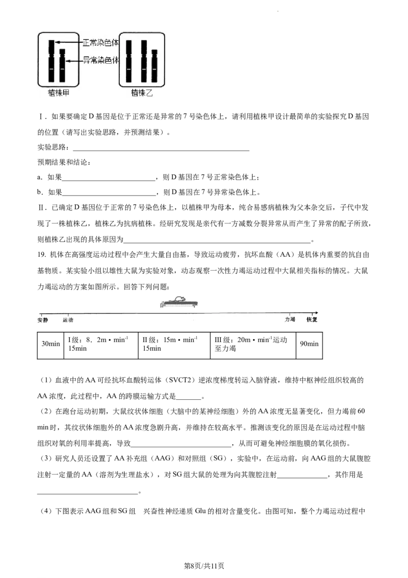 精品解析：湖南省邵阳市武冈市2023-2024学年高三上学期期中生物试题（原卷版）(1)_2023年11月_0211月合集_2024届湖南省邵阳市武冈市高三上学期期中考试