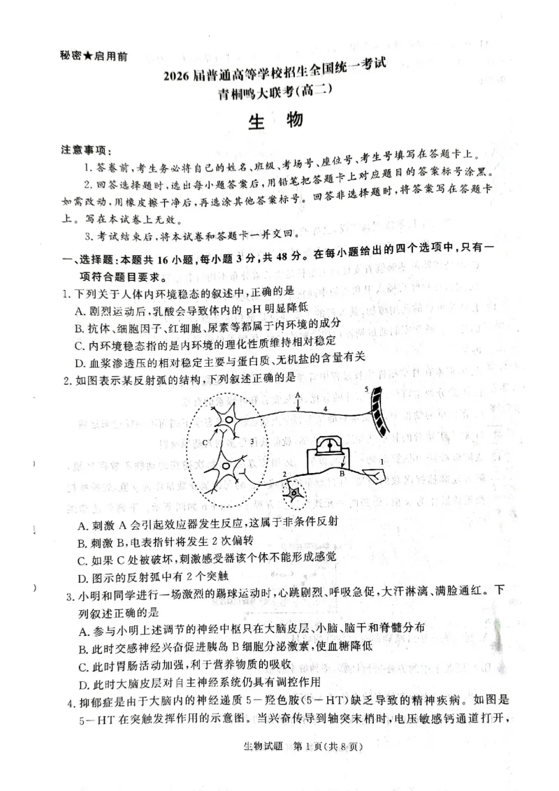 河南省青桐鸣大联考2024-2025学年高二上学期12月月考试题生物PDF版含解析_2024-2025高二（7-7月题库）_2024年12月试卷_1229河南省青桐鸣大联考2024-2025学年高二上学期12月月考