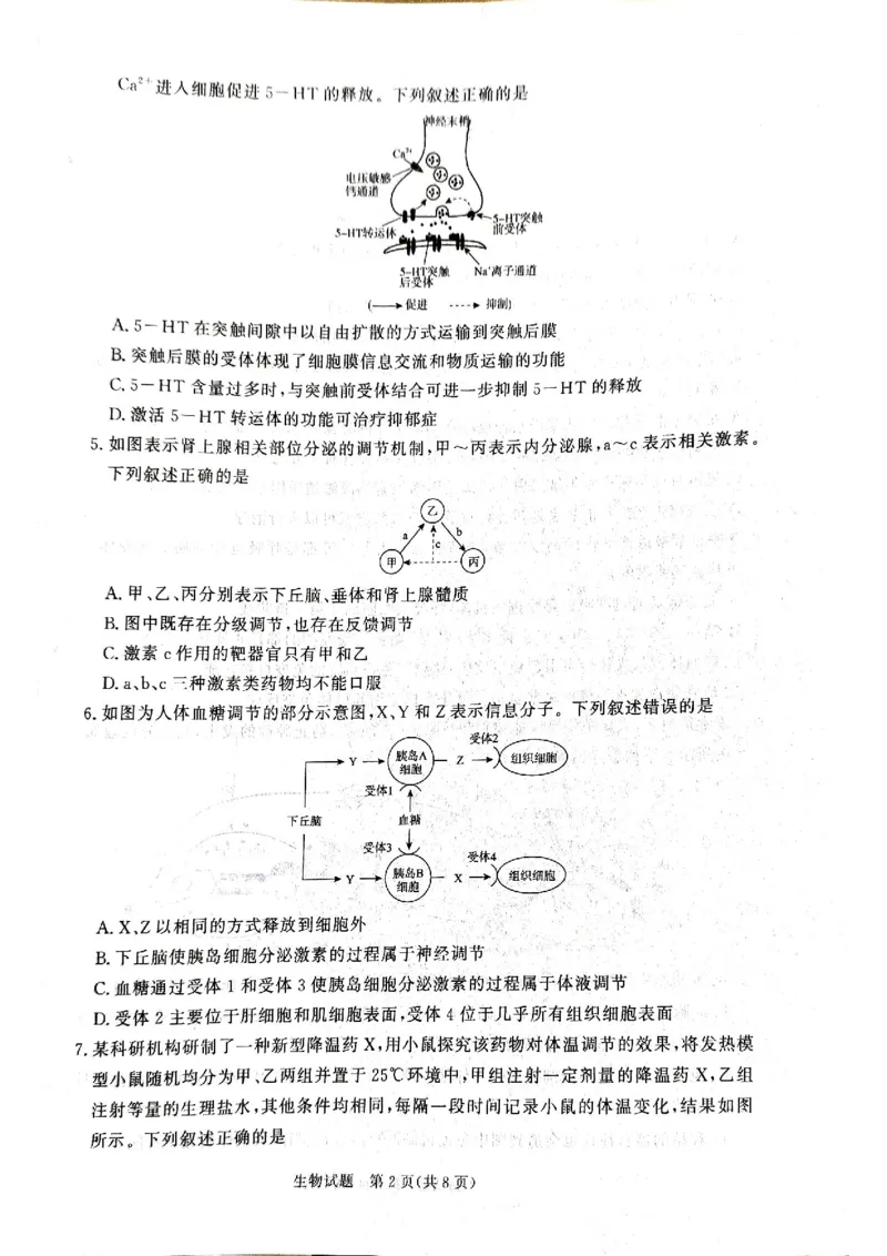河南省青桐鸣大联考2024-2025学年高二上学期12月月考试题生物PDF版含解析_2024-2025高二（7-7月题库）_2024年12月试卷_1229河南省青桐鸣大联考2024-2025学年高二上学期12月月考