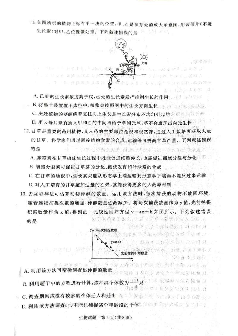 河南省青桐鸣大联考2024-2025学年高二上学期12月月考试题生物PDF版含解析_2024-2025高二（7-7月题库）_2024年12月试卷_1229河南省青桐鸣大联考2024-2025学年高二上学期12月月考