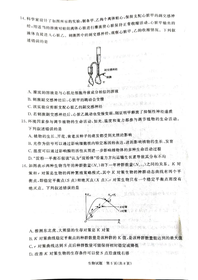 河南省青桐鸣大联考2024-2025学年高二上学期12月月考试题生物PDF版含解析_2024-2025高二（7-7月题库）_2024年12月试卷_1229河南省青桐鸣大联考2024-2025学年高二上学期12月月考
