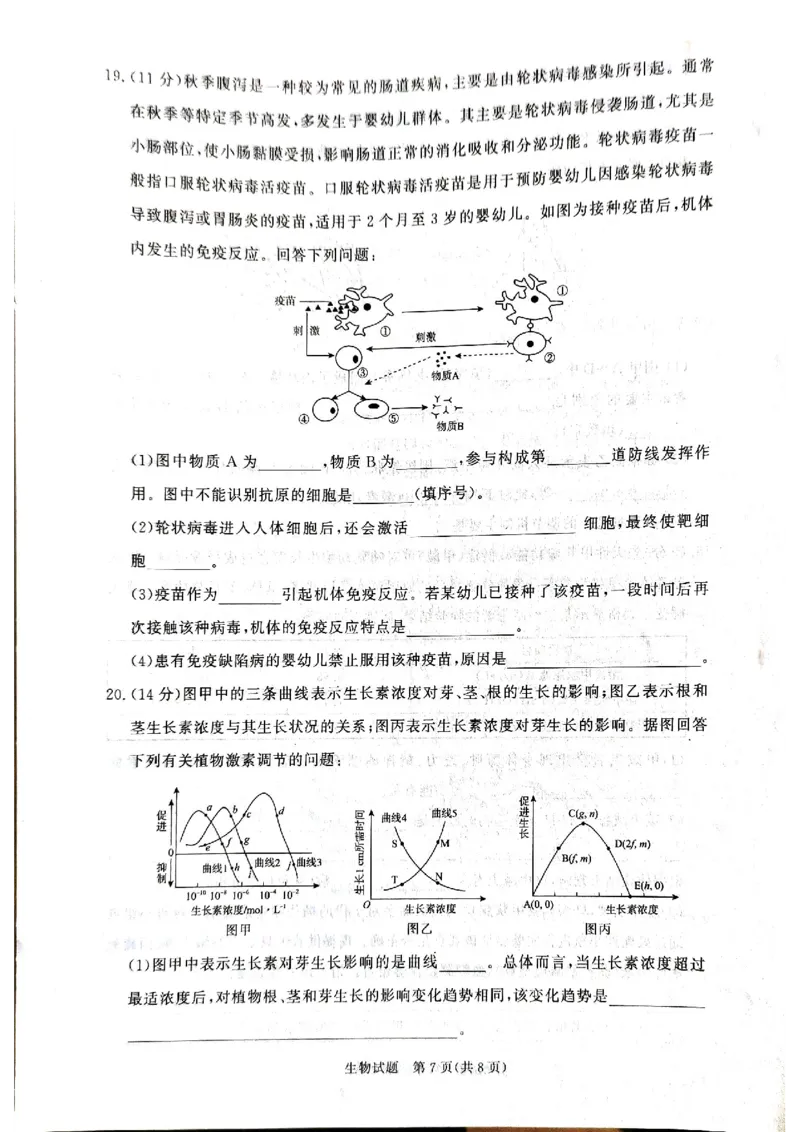 河南省青桐鸣大联考2024-2025学年高二上学期12月月考试题生物PDF版含解析_2024-2025高二（7-7月题库）_2024年12月试卷_1229河南省青桐鸣大联考2024-2025学年高二上学期12月月考