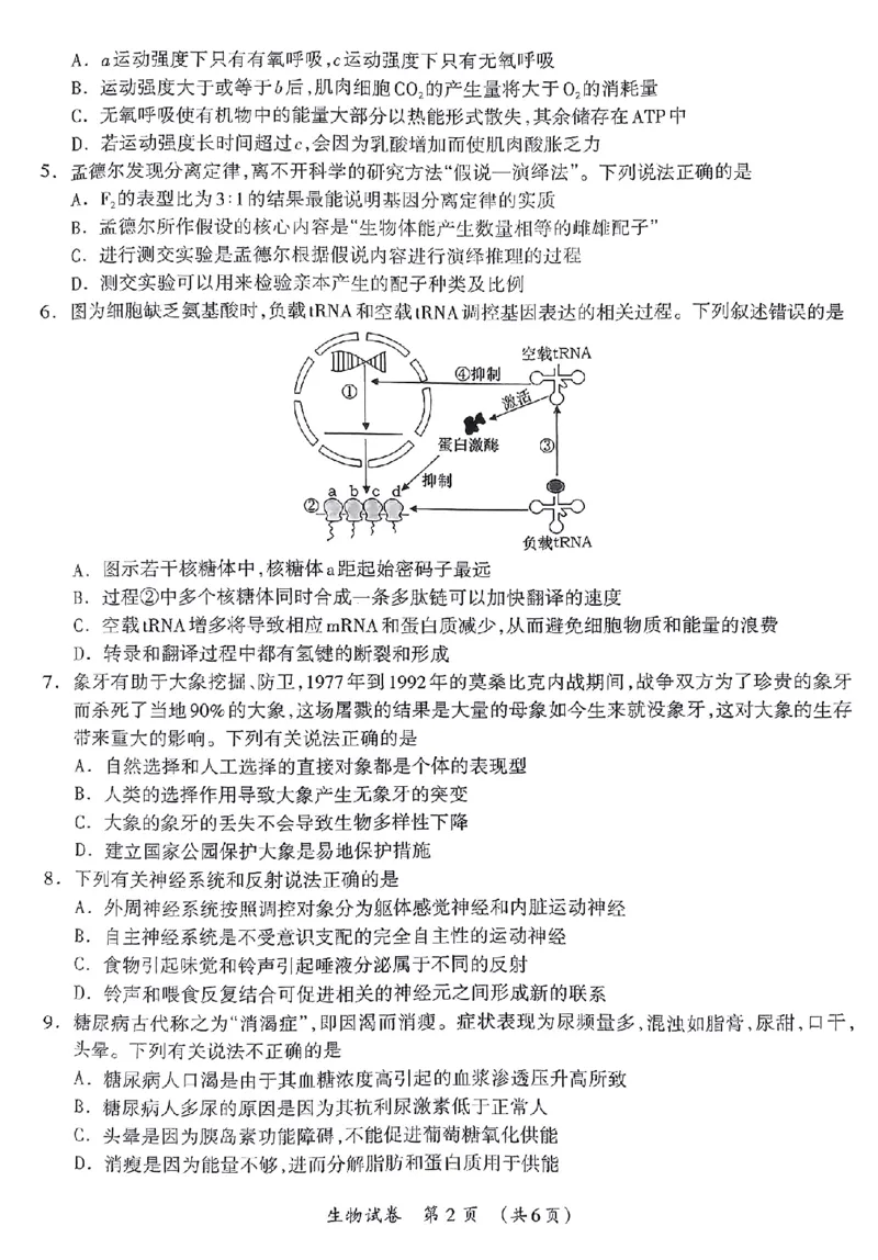 生物_2024年3月_013月合集_2024届广西壮族自治区高三3月联合模拟考试_2024届广西壮族自治区高三3月联合模拟考试生物