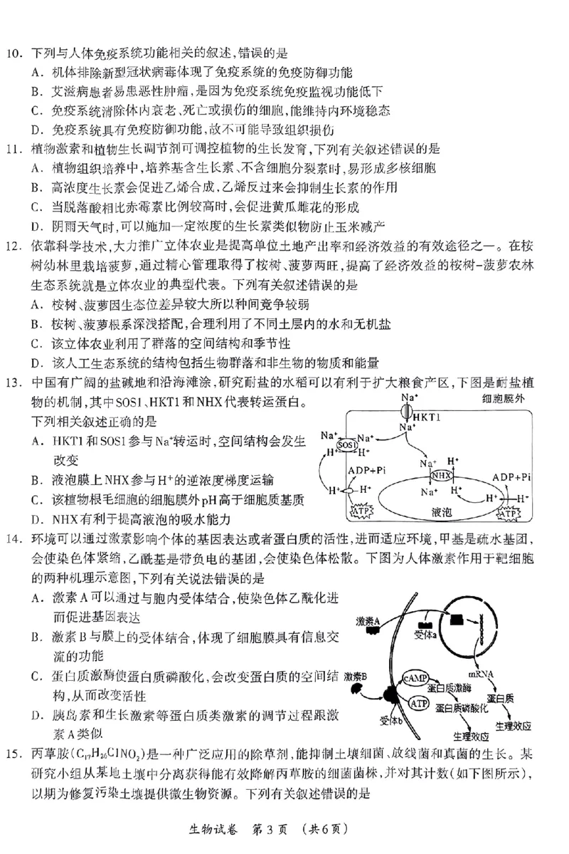 生物_2024年3月_013月合集_2024届广西壮族自治区高三3月联合模拟考试_2024届广西壮族自治区高三3月联合模拟考试生物