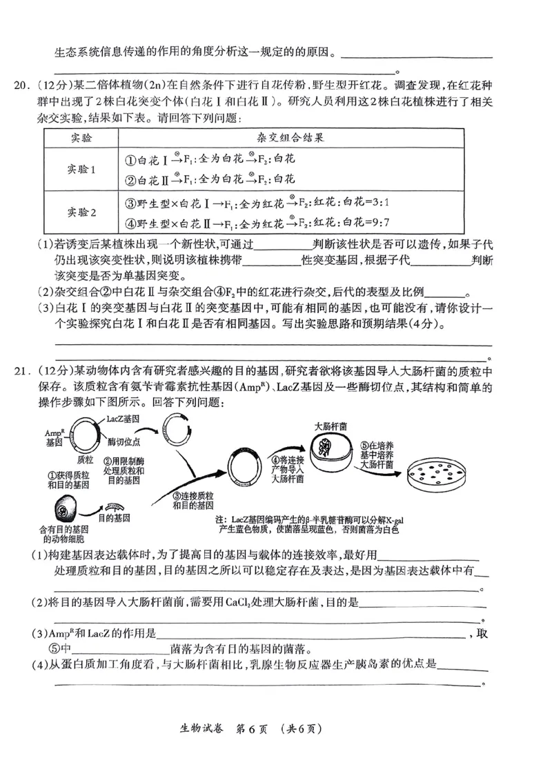 生物_2024年3月_013月合集_2024届广西壮族自治区高三3月联合模拟考试_2024届广西壮族自治区高三3月联合模拟考试生物