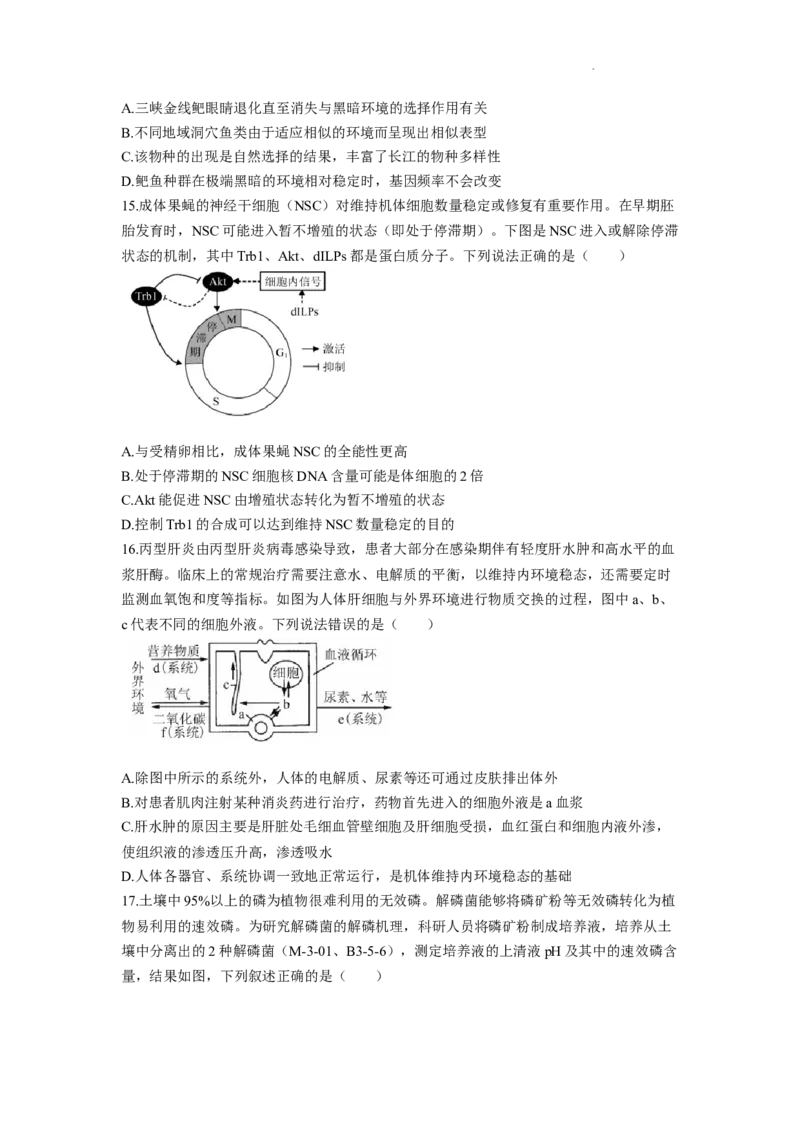 金太阳2024届高三年级下学期5月大联考（钢笔）生物（HEB）_2024年5月_01按日期_28号_2024届金太阳高三年级下学期5月大联考（钢笔）