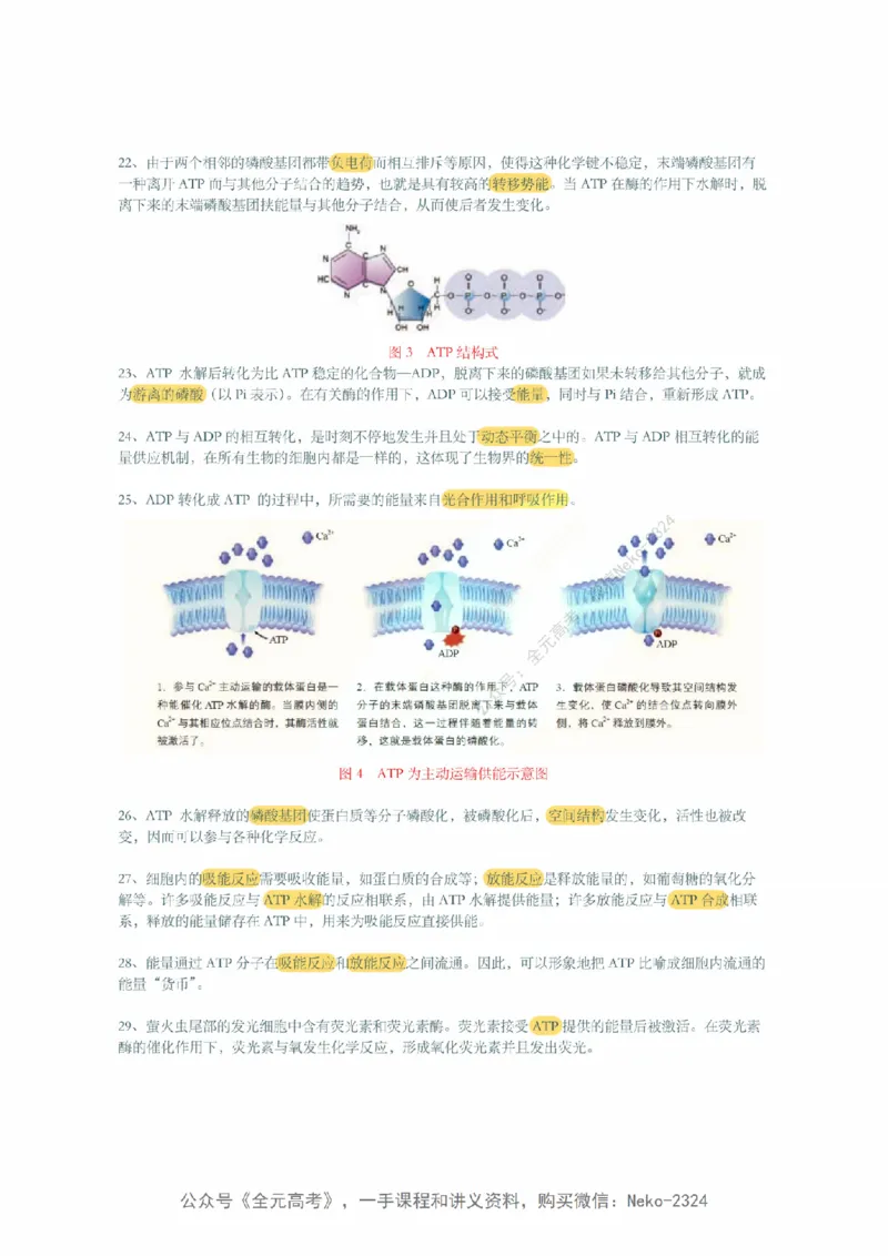 李林暑假班背诵作业（背诵版）@_2024-2025高三（6-6月题库）_2024年09月试卷_李林