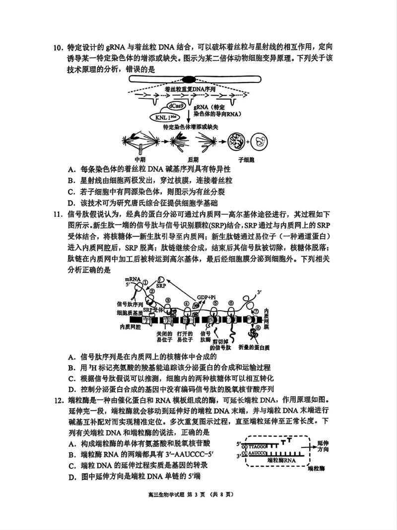 四川省成都市蓉城名校联盟2025届高三上学期第一次联合性诊断性考试生物_2024-2025高三（6-6月题库）_2024年12月试卷_四川省成都市蓉城名校联盟2025届高三上学期第一次联合性诊断性考试生物