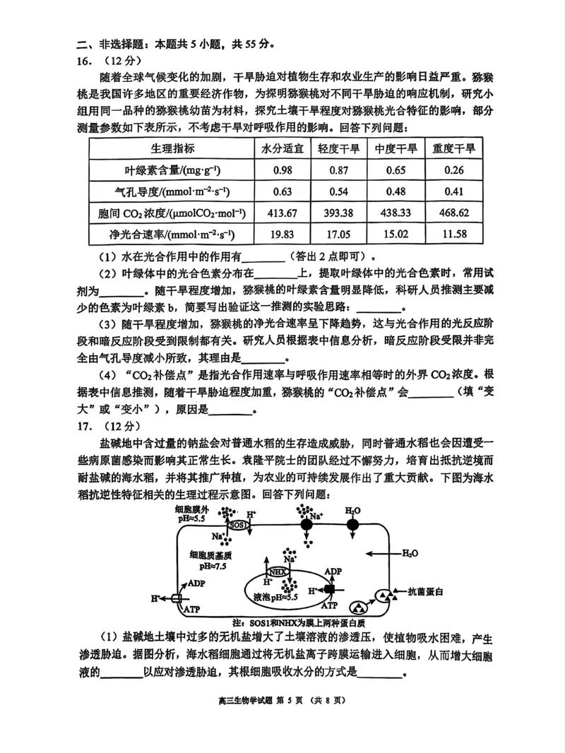 四川省成都市蓉城名校联盟2025届高三上学期第一次联合性诊断性考试生物_2024-2025高三（6-6月题库）_2024年12月试卷_四川省成都市蓉城名校联盟2025届高三上学期第一次联合性诊断性考试生物