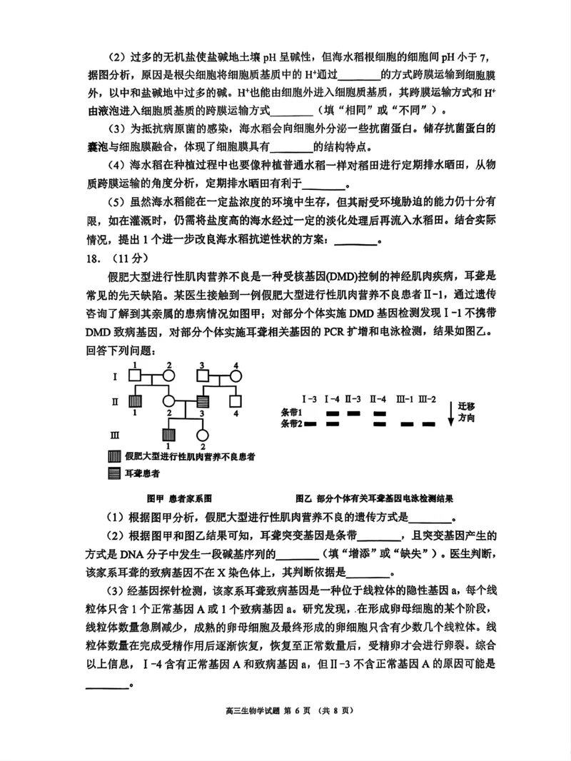 四川省成都市蓉城名校联盟2025届高三上学期第一次联合性诊断性考试生物_2024-2025高三（6-6月题库）_2024年12月试卷_四川省成都市蓉城名校联盟2025届高三上学期第一次联合性诊断性考试生物