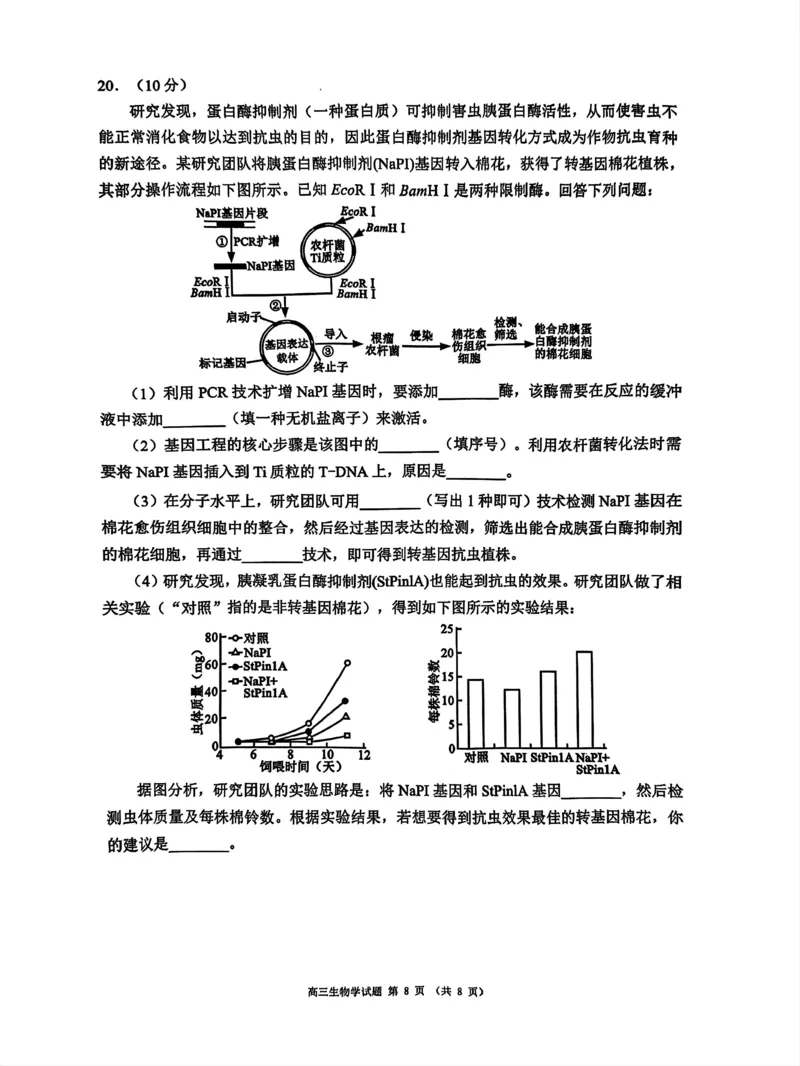 四川省成都市蓉城名校联盟2025届高三上学期第一次联合性诊断性考试生物_2024-2025高三（6-6月题库）_2024年12月试卷_四川省成都市蓉城名校联盟2025届高三上学期第一次联合性诊断性考试生物