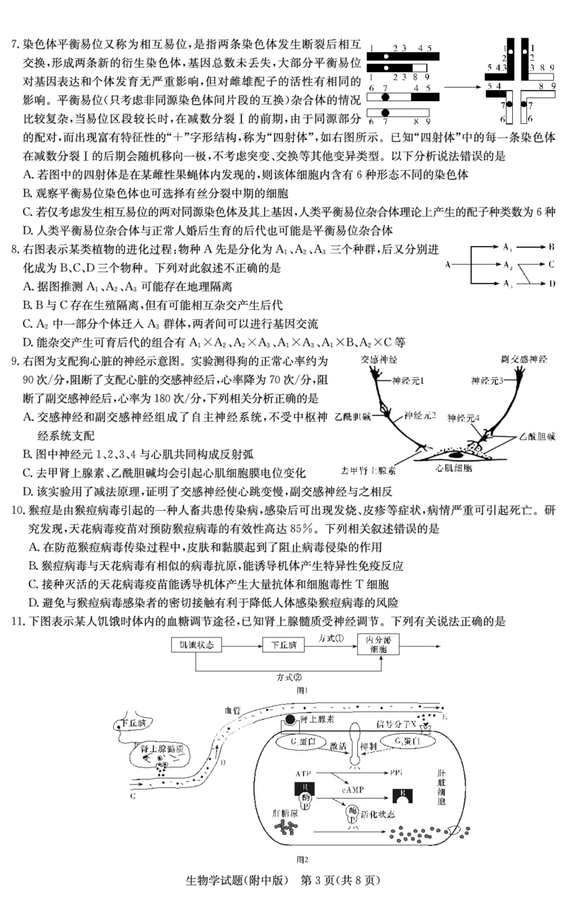生物演练（附中6次）_2024年3月_013月合集_2024届湖南省师范大学附属中学高三月考(六)_湖南师范大学附属中学2023-2024学年高三下学期第六次月考生物试题