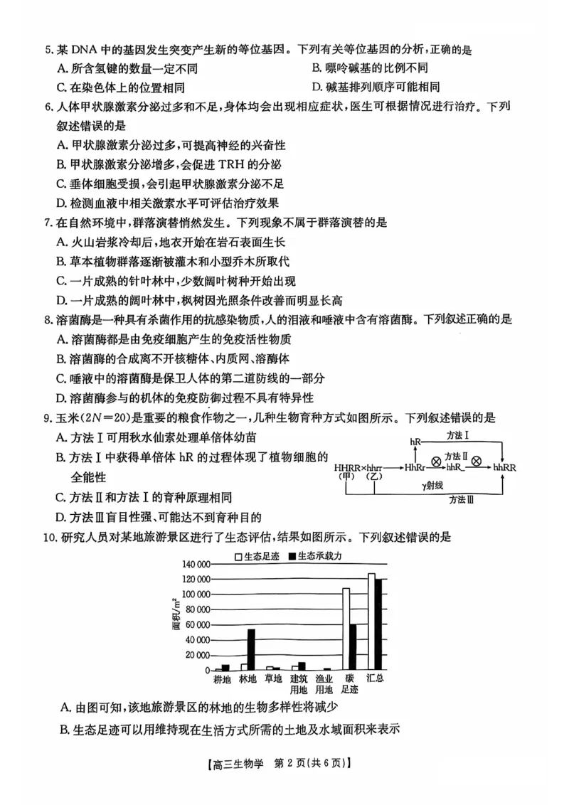 广西2025届高三10月七市联考生物试卷_2024-2025高三（6-6月题库）_2024年10月试卷_1020广西七市普通高中毕业班高三模拟测试（金太阳10月联考）