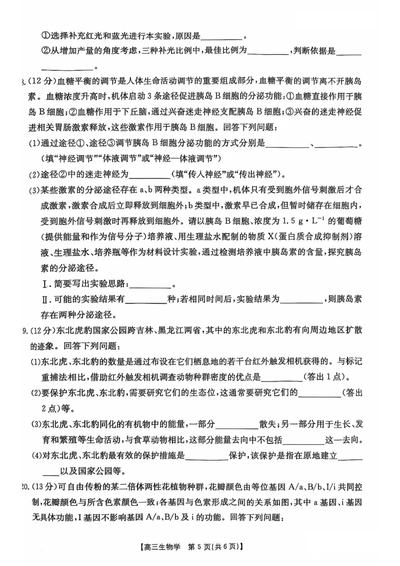 广西2025届高三10月七市联考生物试卷_2024-2025高三（6-6月题库）_2024年10月试卷_1020广西七市普通高中毕业班高三模拟测试（金太阳10月联考）
