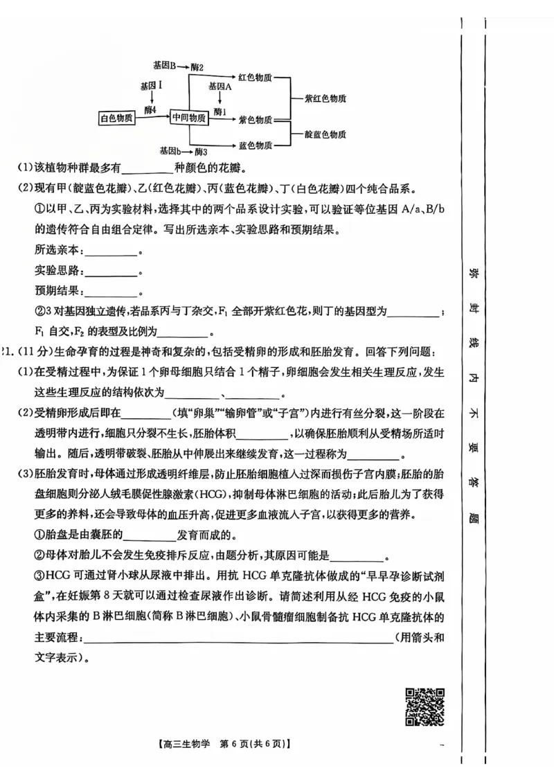 广西2025届高三10月七市联考生物试卷_2024-2025高三（6-6月题库）_2024年10月试卷_1020广西七市普通高中毕业班高三模拟测试（金太阳10月联考）