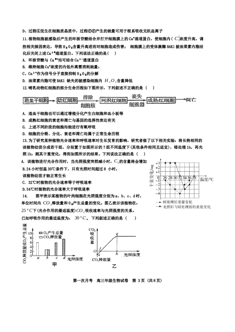 天津耀华中学2025届高三上期第一次月考生物试题_2024-2025高三（6-6月题库）_2024年10月试卷_1019天津耀华中学2025届高三上期第一次月考