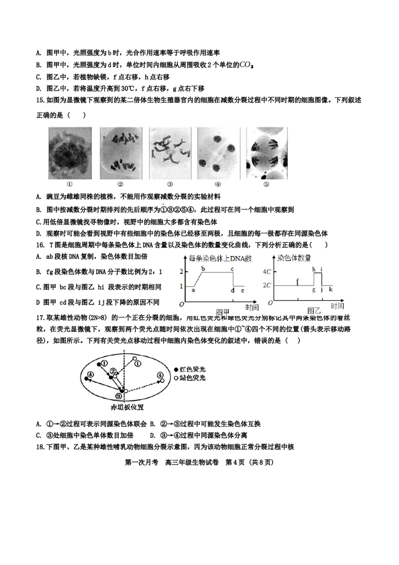 天津耀华中学2025届高三上期第一次月考生物试题_2024-2025高三（6-6月题库）_2024年10月试卷_1019天津耀华中学2025届高三上期第一次月考