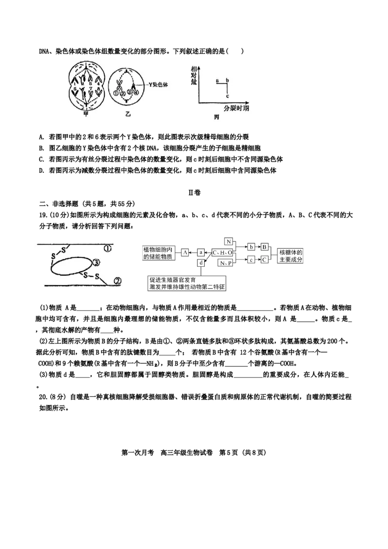 天津耀华中学2025届高三上期第一次月考生物试题_2024-2025高三（6-6月题库）_2024年10月试卷_1019天津耀华中学2025届高三上期第一次月考