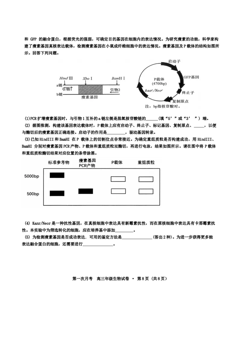 天津耀华中学2025届高三上期第一次月考生物试题_2024-2025高三（6-6月题库）_2024年10月试卷_1019天津耀华中学2025届高三上期第一次月考