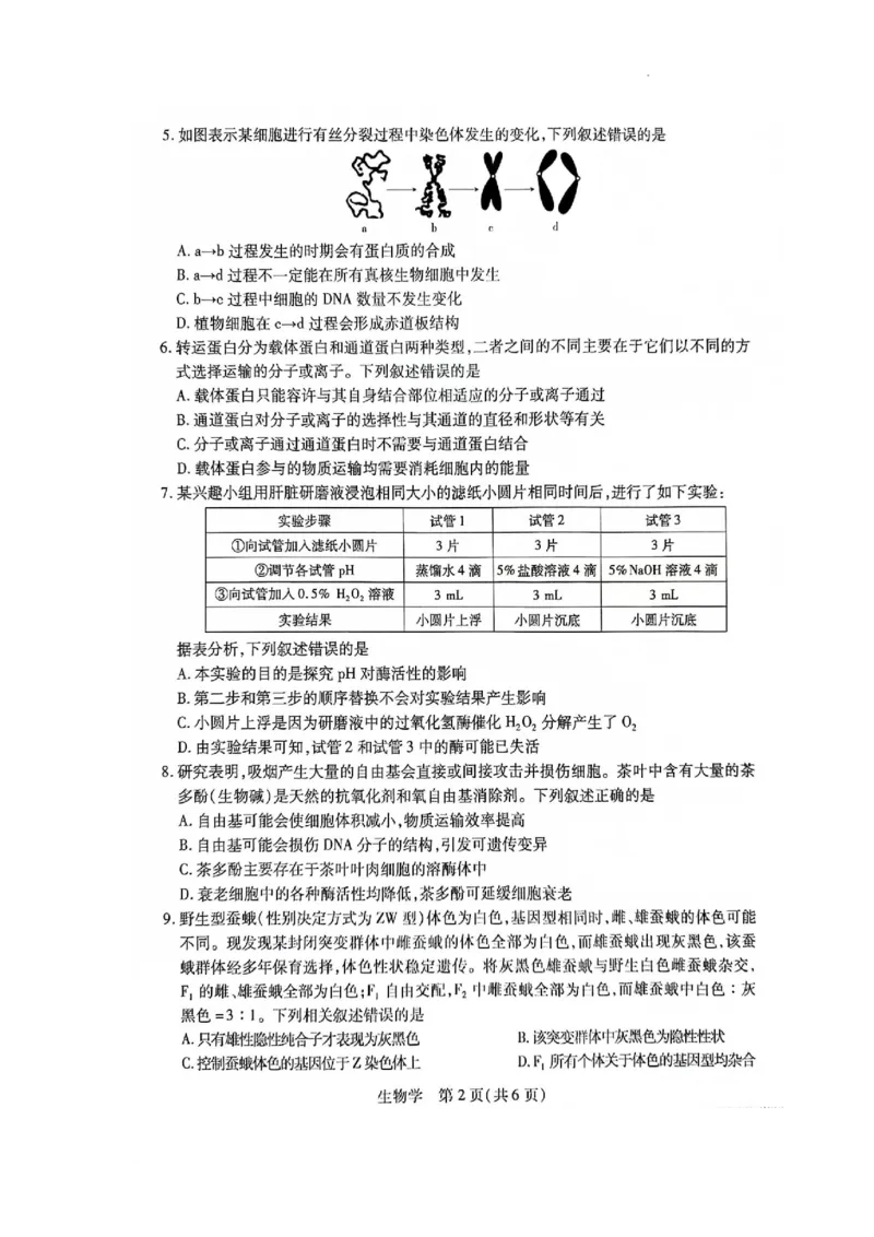 江西省2024届高三11月一轮总复习调研测试生物试题(1)_2023年11月_0211月合集_2024届江西省稳派高三上学期11月一轮总复习调研测试_江西省稳派2024届高三上学期11月一轮总复习调研测试生物
