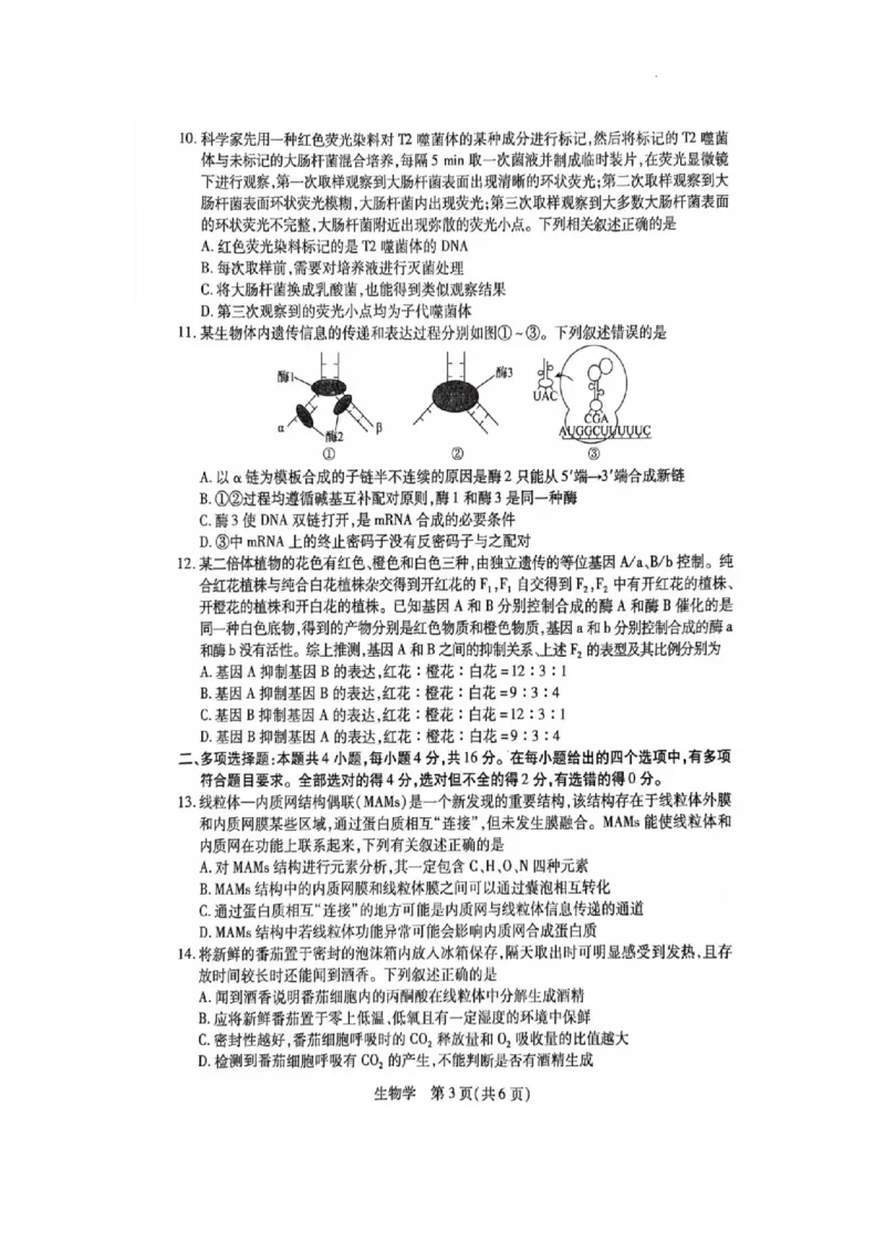 江西省2024届高三11月一轮总复习调研测试生物试题(1)_2023年11月_0211月合集_2024届江西省稳派高三上学期11月一轮总复习调研测试_江西省稳派2024届高三上学期11月一轮总复习调研测试生物