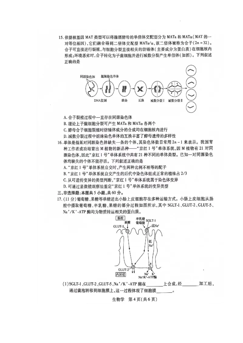 江西省2024届高三11月一轮总复习调研测试生物试题(1)_2023年11月_0211月合集_2024届江西省稳派高三上学期11月一轮总复习调研测试_江西省稳派2024届高三上学期11月一轮总复习调研测试生物