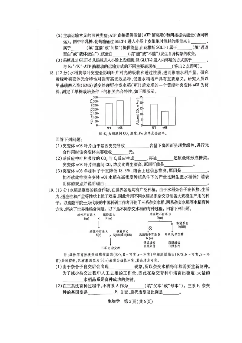 江西省2024届高三11月一轮总复习调研测试生物试题(1)_2023年11月_0211月合集_2024届江西省稳派高三上学期11月一轮总复习调研测试_江西省稳派2024届高三上学期11月一轮总复习调研测试生物