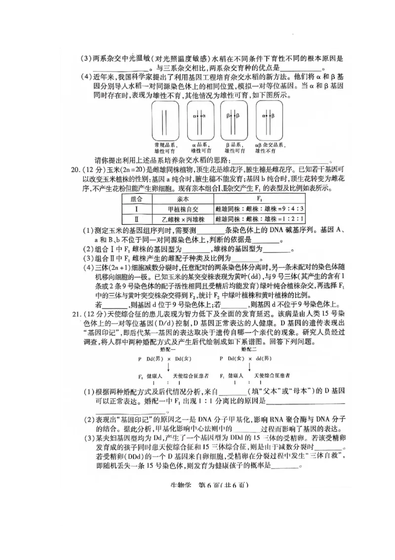 江西省2024届高三11月一轮总复习调研测试生物试题(1)_2023年11月_0211月合集_2024届江西省稳派高三上学期11月一轮总复习调研测试_江西省稳派2024届高三上学期11月一轮总复习调研测试生物