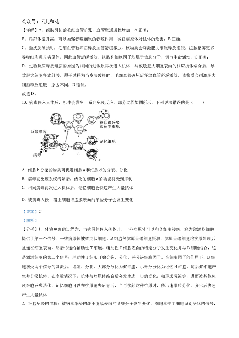 山东省德州市2024-2025学年高二上学期11月期中生物试题Word版含解析_2024-2025高二（7-7月题库）_2024年12月试卷_1201山东省德州市2024-2025学年高二上学期11月期中考试