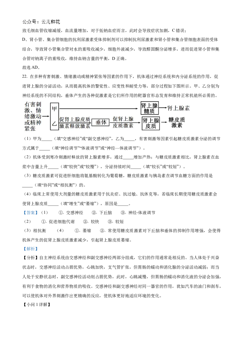 山东省德州市2024-2025学年高二上学期11月期中生物试题Word版含解析_2024-2025高二（7-7月题库）_2024年12月试卷_1201山东省德州市2024-2025学年高二上学期11月期中考试