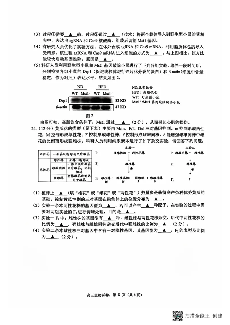 江苏省南通市海安市2024-2025学年高三上学期开学考试生物PDF版含答案_2024-2025高三（6-6月题库）_2024年09月试卷_0916江苏省南通市海安市2024-2025学年高三上学期开学