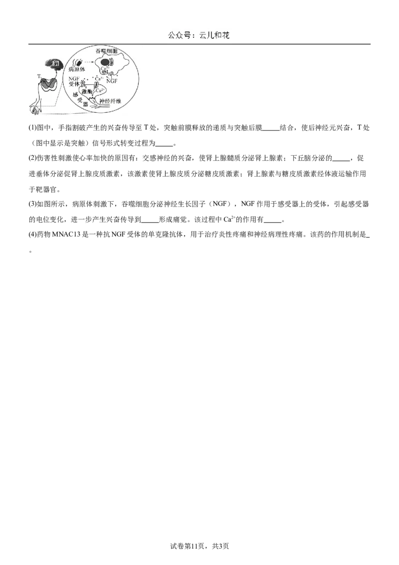 河南省驻马店市新蔡县新蔡县第一高级中学2024-2025学年高二上学期10月月考生物试题_2024-2025高二（7-7月题库）_2024年10月试卷