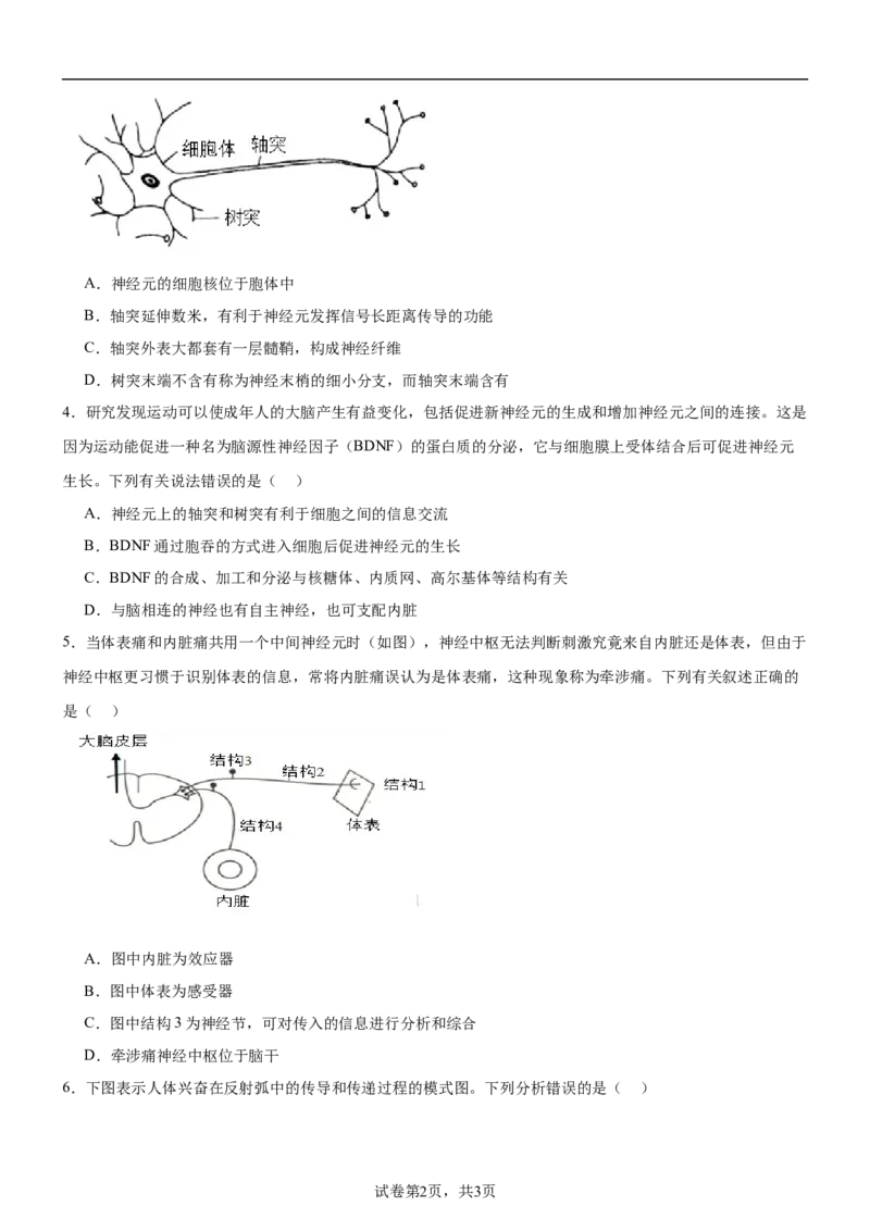 河南省驻马店市新蔡县新蔡县第一高级中学2024-2025学年高二上学期10月月考生物试题_2024-2025高二（7-7月题库）_2024年10月试卷
