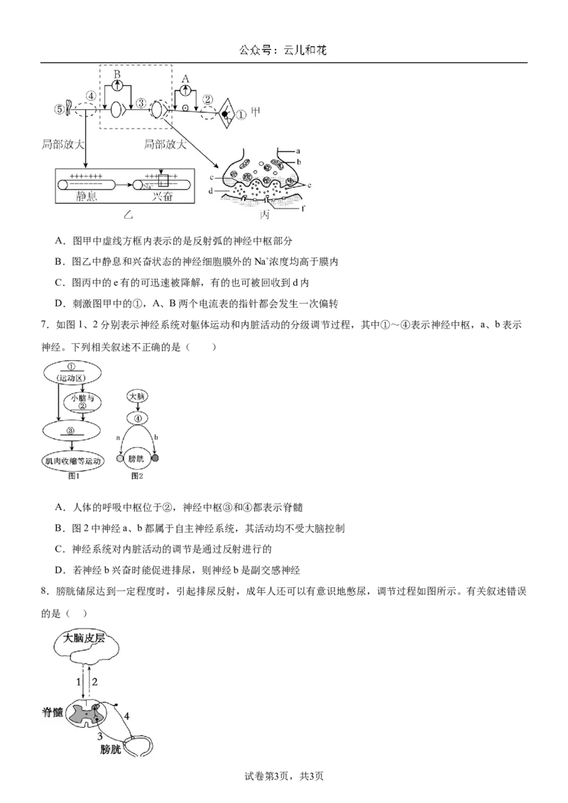 河南省驻马店市新蔡县新蔡县第一高级中学2024-2025学年高二上学期10月月考生物试题_2024-2025高二（7-7月题库）_2024年10月试卷