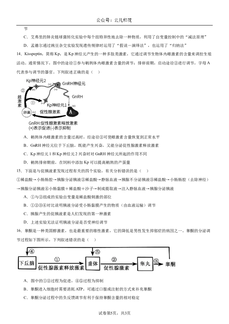 河南省驻马店市新蔡县新蔡县第一高级中学2024-2025学年高二上学期10月月考生物试题_2024-2025高二（7-7月题库）_2024年10月试卷