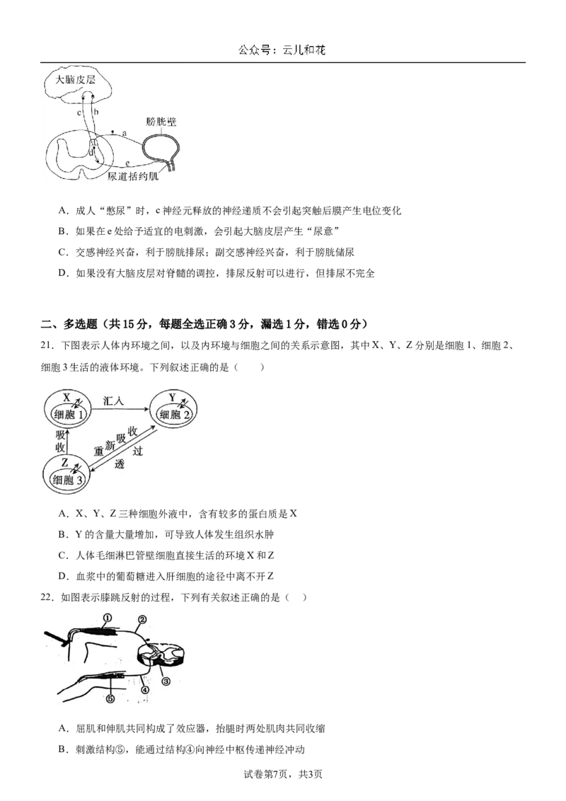 河南省驻马店市新蔡县新蔡县第一高级中学2024-2025学年高二上学期10月月考生物试题_2024-2025高二（7-7月题库）_2024年10月试卷